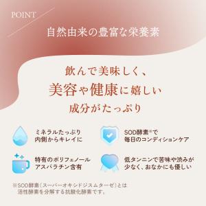 ルイボスティー 2g×100p 特別限定パック...の詳細画像4