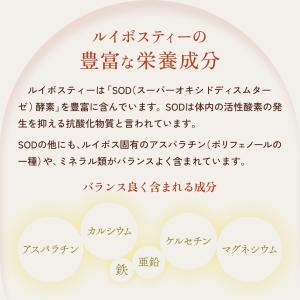 ルイボスティー 2g×100p 特別限定パック...の詳細画像5