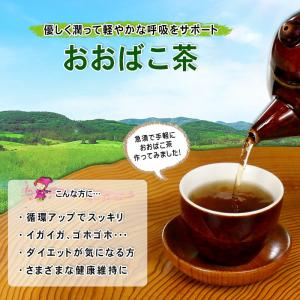 国産 おおばこ茶 3g×50p オオバコ ティ...の詳細画像1