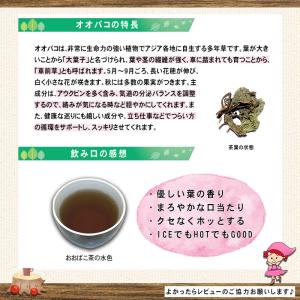 国産 おおばこ茶 3g×50p オオバコ ティ...の詳細画像2