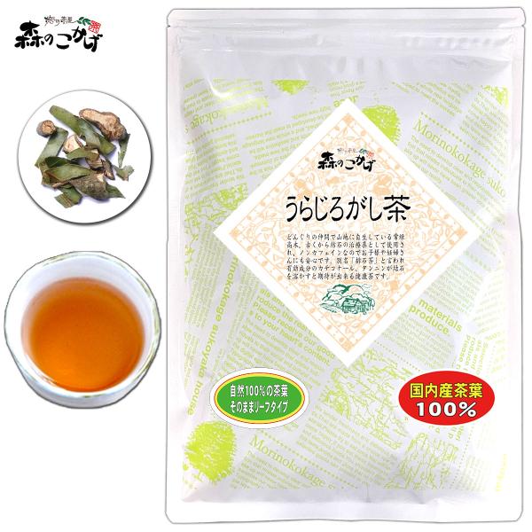 1 国産 うらじろがし茶 徳島・愛媛県産 (130g) ウラジロガシ茶 裏白樫茶 (自然栽培・農薬検...