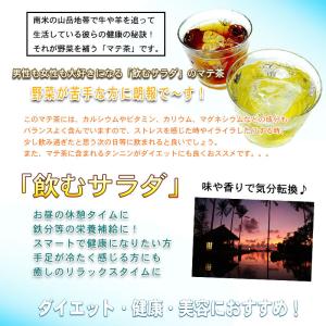 マテ茶 グリーン 2g×40p ティーバッグ ...の詳細画像3