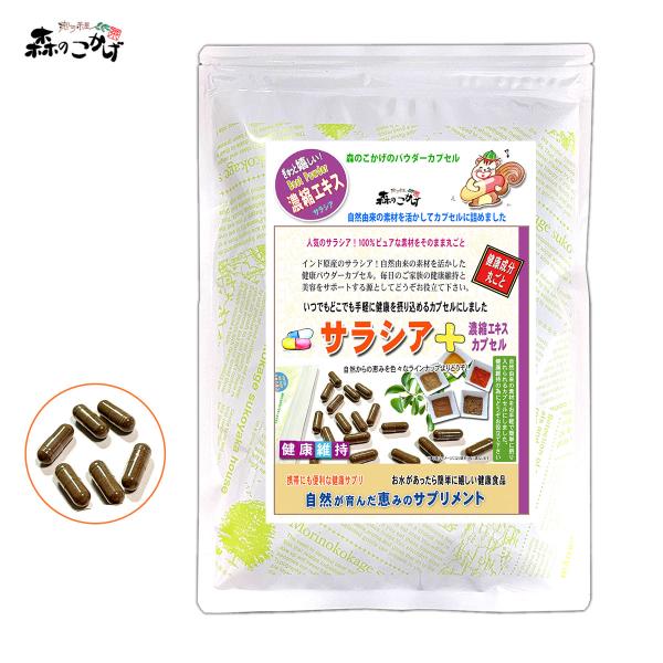 【森のこかげ】サラシア 濃縮エキス カプセル(350mg×120粒)(残留農薬検査済み)北海道 沖縄...