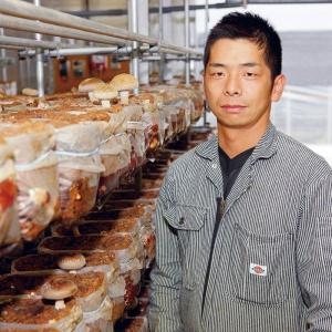 ※日付指定不可 1日2箱限定 お一人様2箱まで...の詳細画像1