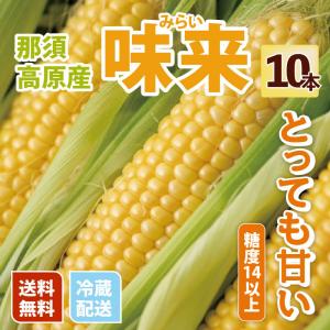 ※日付指定不可※コンビニ払い不可※ 1日30本限定 とうもろこし 味来 那須稲葉農園 10本