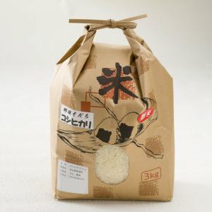 2023年（令和5年）度産 栃木のお米 コシヒカリ 3kg｜epinardnasu