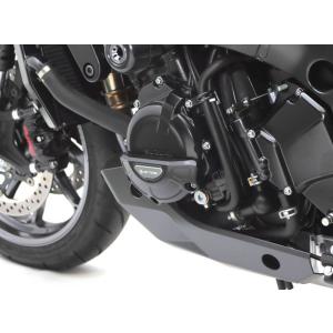 ACTIVE アクティブ 1132502 エンジンカバースライダー 左右セット