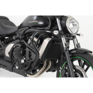 W42751-002 ワンダーリッヒ Wunderlich エアインテークガード 14