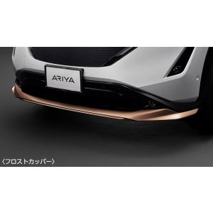 アリア プラスチックバイザー（1台分） 日産純正部品 FE0 パーツ