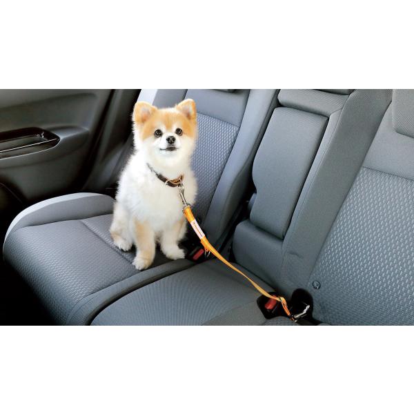 フリード GT系：純正 ペット車外飛び出し防止リード(サイズ選択)