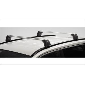 RAV4 RAV4/ラブ4 50系：純正 スキッドプレート（グレーメタリック塗装