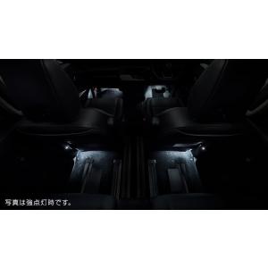 セレナ SERENA C28系 ：純正 エントランスプレート