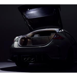 シビック HONDA ホンダ 純正 LEDテールゲートライト シビックタイプR