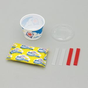 工作キット 食品サンプル作り かきごおり まと...の詳細画像1