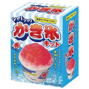 工作キット 食品サンプル作り かきごおり まと...の詳細画像2