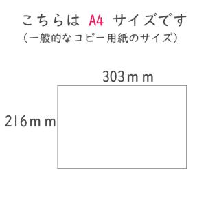 A4サイズ ローマ字ポスター ローマ字表 学習...の詳細画像3
