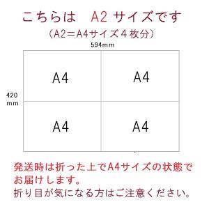 A2サイズ 世界地図ポスター お風呂ポスター ...の詳細画像2