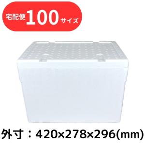 クーラーボックス 発泡スチロール箱 大型 白色 蓋付 通販 保冷