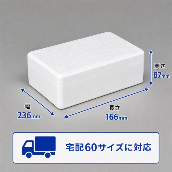 クーラーボックス 発泡スチロール箱 小型 通販 保冷 断熱 梱包材 軽量 2.2L 宅配60サイズ ...