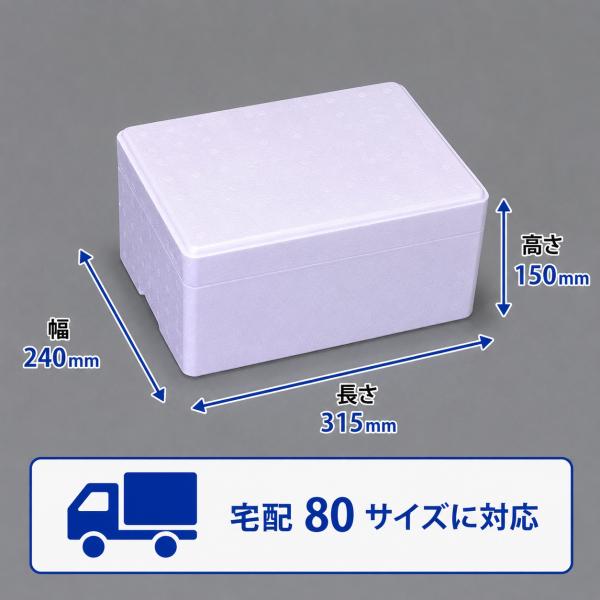 クーラーボックス 発泡スチロール箱 小型 通販 保冷 断熱 梱包材 軽量 5.8L 宅配80サイズ ...