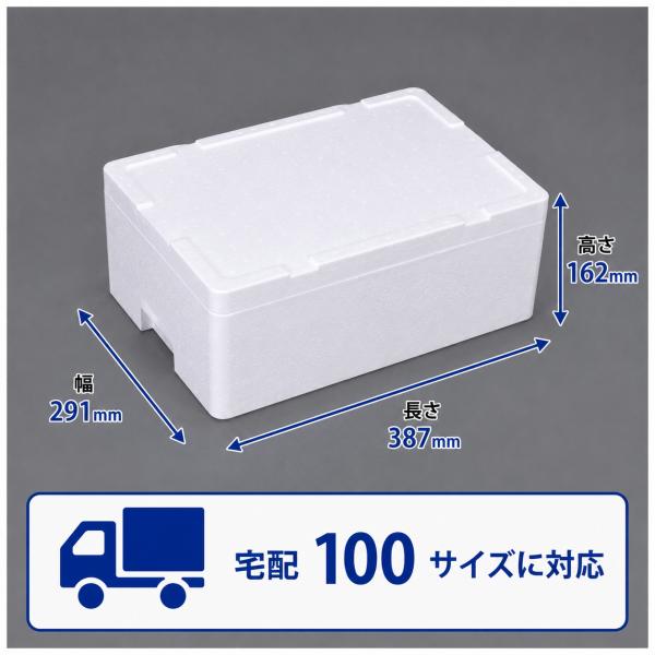 クーラーボックス 発泡スチロール箱 中型 通販 保冷 断熱 梱包材 軽量 10.6L 宅配100サイ...