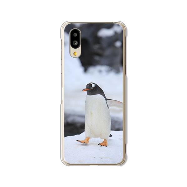 softbank シンプルスマホ6 A201SH  ペンギン デザインハードケース