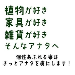 送料無料 観葉植物 おしゃれ 室内 風水 エア...の詳細画像3