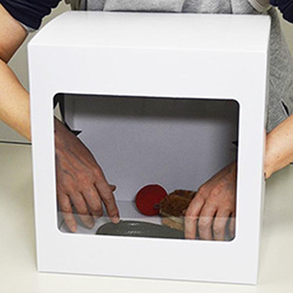 パーティーゲーム　箱の中身は何だろな？　チャレンジ箱