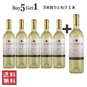 ワインセット 白 5本買うともう1本付いてくる おまとめ買い割引 BUY5GET1 クラウド ブレイク ソーヴィニヨン ブラン ワインメーカーズ リザーヴ wineset｜erabell-wine