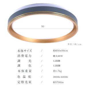 シーリングライト 12畳 14畳 大型 LED...の詳細画像3