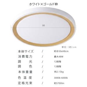 シーリングライト 12畳 14畳 調光 調色 ...の詳細画像3