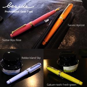 名入れ対象商品】NAGASAWA オリジナル万年筆 プロスケ アンティーク