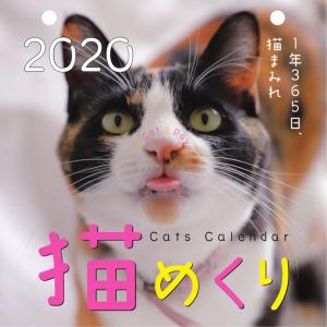 【在庫限り特価】中央経済社（シーオーツー） 2020年 手帳 猫めくりカレンダー CKC20-01｜erfolg