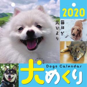 【在庫限り特価】中央経済社（シーオーツー） 2020年 手帳 犬めくりカレンダー CKD20-01｜erfolg