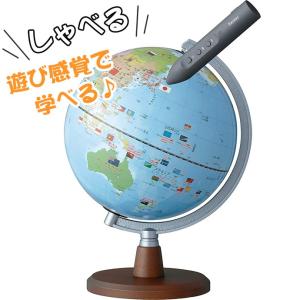 昭和カートン 日本製 地球儀 行政図タイプ 26cm球 木質台座 26-GAM-K
