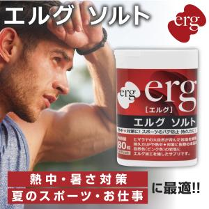 エルグソルト ハンディタイプ （80錠入） 熱中・猛暑日対策 夏の部活に バランスUP 体幹 甲子園出場校使用率No.1の実績