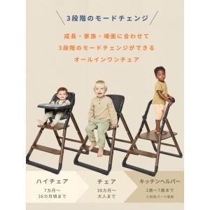 エルゴ エボルブ ハイチェア ダークウッド エ...の詳細画像5