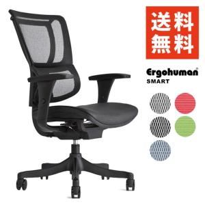 年末特価】エルゴヒューマンスマート アームレスト付 ブラック