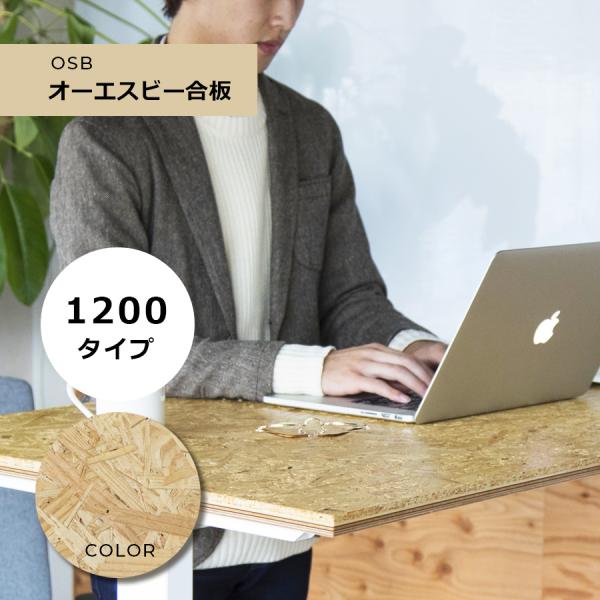 電動昇降デスク「FeEL」 / 横幅サイズW1200mm / 天板OSB合板　家財便配送料無料 組み...