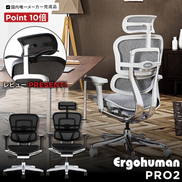 エルゴヒューマン プロ2 ロータイプ ( ergohuman pro2 low type ) / ヘ...