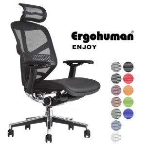 エルゴヒューマン エンジョイ ergohuman enjoy / ランバーサポート付 / ヘッドレスト有り 【完成品】