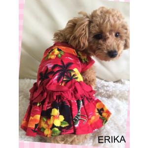 格安お買い得 かわいい 犬服ハワイ製 花柄 ア...の詳細画像1