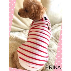 新商品 かわいい 犬服・マリンボーダーTシャツ・ワンピース : ERIKA