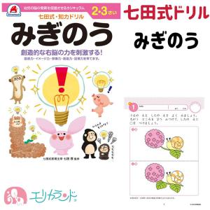 七田式 特典付 七田式フラッシュカード かな絵ちゃん 英語DVDセット