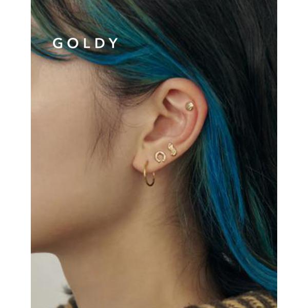 GOLDY ゴールディ 1231202 ニューメラス マイクロ ホースビット セット ピアス