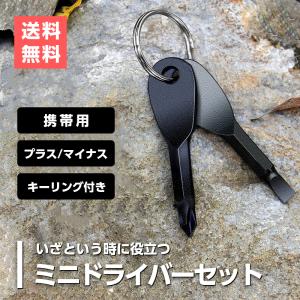 ミニドライバー ２本 ドライバーセット 工具 プラスドライバー マイナスドライバー キーホルダー 携帯用 持ち運び｜erinuki