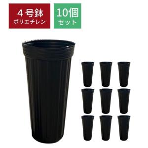 鉢 黒 4号 10個 プラスチック ブラック ロングポット プレステラ プラステラ 育苗 ハイパーロング 多肉植物 スリット｜ERIOQUEST