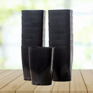 プラスチック鉢 2.5号 15個 多肉植物 黒...の詳細画像1