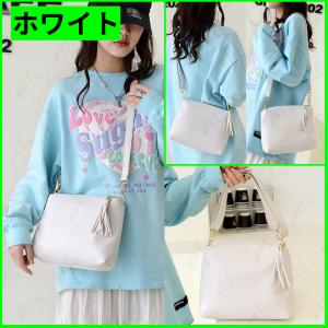 BA112# ミニショルダーバッグ レザーバッ...の詳細画像1