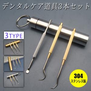 デンタルケア 日本国内当日発送 ミニ 歯石取り器具 3本セット 歯石削り スケーラー 口臭予防 ステンレス 爪楊枝 耳かき 口腔ケアツール しこう取り #br108